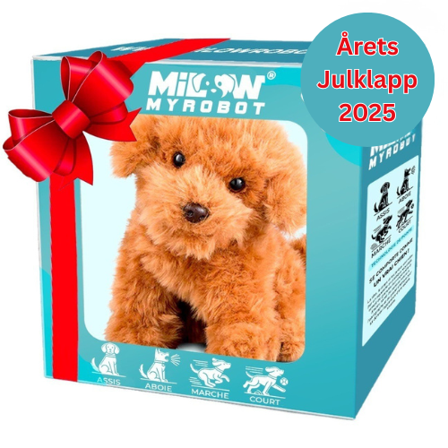 Nico â Din Realistiska Robotvalp